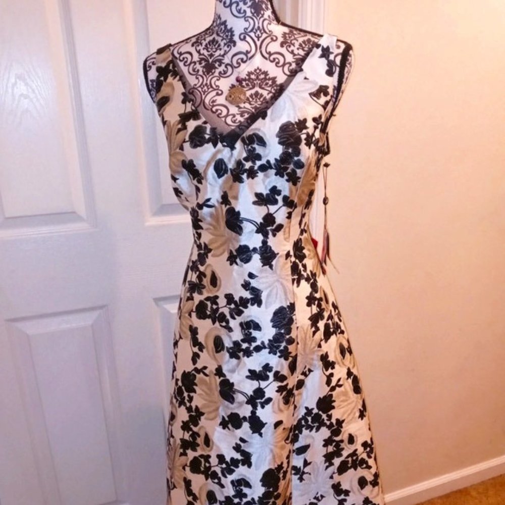 Adrianna papell prom dress